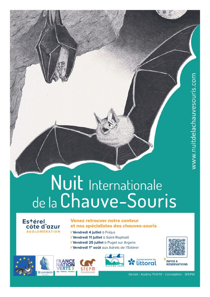 01/08/25 – 12e Nuit Internationale de la Chauve-souris : venez découvrir les « belles de nuit »